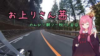 【VOICEROID車載】お上りさん茜、のんびり朝ツー秋川渓谷【シャドウ400】