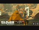 サクッとBotW【ゼルダの伝説BotW実況】#14