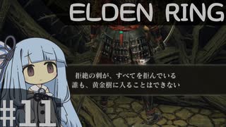 葵ちゃんのELDEN RING その11