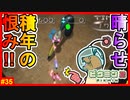 見てろよヘビガラス!!今までやられた仲間の分まで殴らせてもらうぞ!!【ピクミン2　#35】
