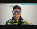 【コメント有】ニンポー 2022年03月29日12時37分 来月から働く事が決まりました【ニコ生録画】