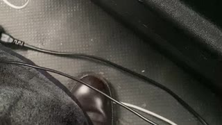 参議院議員会館で、馬乗りになり後頭部を強打し怪我をさせても、被害者が平塚だと傷害罪はおろか暴行罪にもはならず不起訴。