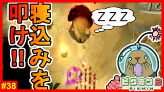 正面切ってヤキチャッピーを倒すには寝ているところを叩くしかないけどなんか卑怯だなぁと思いました【ピクミン2　#38】