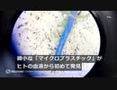 ヒトの血液からマイクロプラスチック、初めて検出　影響未知数