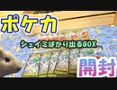 【ポケカ開封】モルモットと一緒にスターバース開封するぞー【モルモット】