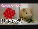 【第七回】モルモットと聞く怪異譚【赤いマフラーの女】