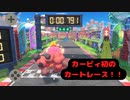 【星のカービィディスカバリー第五幕】カービィ、遊園地のレースに参戦する？