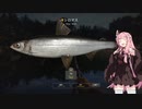 茜お姉ちゃんが川釣りのバイトをする話　3月号
