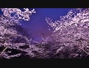 【Music Summoner】桜の下で【オリジナル曲】