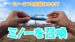 いいから釣りなさいよあなた【シーバスチャレンジ06】