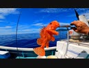 スロージギング&SLJで根魚釣り