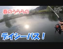 ヤツが高活性。【シーバスチャレンジ06-2】