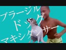 ブラージル・ドッグ・マキシダンサー