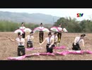 【タイの民族舞踊】My Sweet Dream, Don't Let Me Down