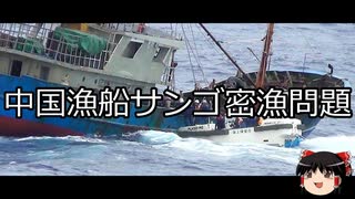【ゆっくり朗読】ゆっくりさんと日本事件簿 その359