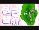 【自己紹介】こんばんまんこ！ピーマン子です！