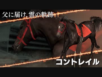 凱旋門跡地 その10.WP9 2021(2020) (終)