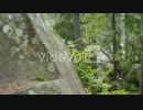 Purposeful Man With A Backpack Climbs On A Rock Concept - The Pursuit Of A Goal　石川崇弘