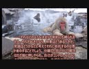 愛のために死す２５