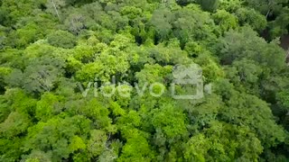 An aerial over generic rainforest or jungle　okirakuhuhu