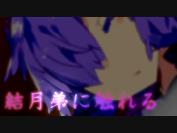 結月弟に触れる