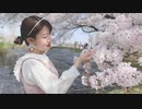 【ふるあ】ハルイチ。【踊ってみた】