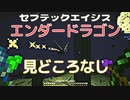 モッド環境下でエンダードラゴンは見どころ無し…セブテックエイジス　017 ［Minecraft］