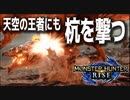 【STEAM版】モンハンライズ『リオレウスにも杭を撃て！』