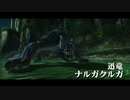 【初実況】MHXX part9
