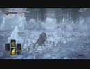 【ダークソウル3】墓守必殺のコンビネーション中編【18-3回目】