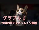 【グランブルーファンタジー Part242】今回の周年ガチャピンムックの総評、順当に強くなれた1か月だったね…！おまけ:SSR確定ガチャチケット