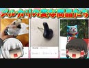 【珍商品】メルカリに実際に出品されていた恐らく誰も買わないであろう商品【メルカリ】【ゆっくり】