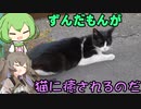 ずんだもんが猫に癒されるのだ