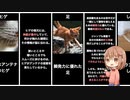 【人間の10万倍〇〇!?】ねこの特殊能力一覧まとめ【さっくり解説】