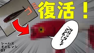 釣果？うるせえゴミ拾いだ！【シーバスチャレンジ07】