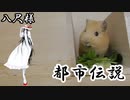 【第九回】モルモットと聞く怪異譚【八尺様】