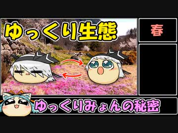 【ゆっくり生態】ゆっくりみょんの秘密