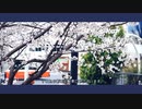 Amanumarbha【今までありがとう天沼営業所】