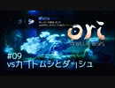 #09   カブトムシとダッシュ『Ori and the Will of the Wisps』