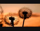 #work Nagayama.Chiyuri