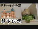 【第十回】モルモットと聞く怪異譚【サリーさんの館】