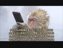 愛のために死す２７