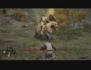 【ELDEN RING】発売日からトロコンするまで【実況】 part2