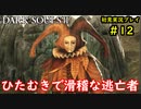 【2人実況】神として鉄槌を下していくおっさん【DARK SOULSⅡ】＃12