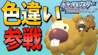 色違いビッパ爆誕☆【ポケモンBDSP】