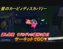 星のカービィ ディスカバリー　サーキットでGO！攻略　隠し部屋　ワドルディの場所３体目どこ？　＃１３７