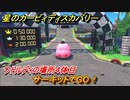 星のカービィ ディスカバリー　サーキットでGO！攻略　ワドルディの場所４体目どこ？　＃１３８