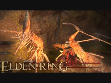 信仰技量の王となる。part _ 018【ELDENRING _ エルデンリング】