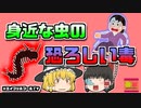 【2022年日本】身近なあの虫に噛まれ、生死の境を彷徨う【ゆっくり解説】※エイプリルフールネタです。