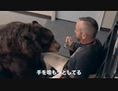 Jackass 4Ever ( 2022 )　予告編